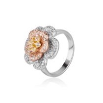 обзорное фото Серебряное кольцо Райский цветок 027992  Серебряные кольца со вставками