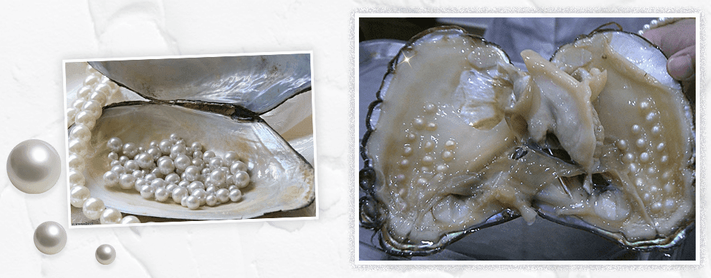Види перлів:натуральний, культивований фото