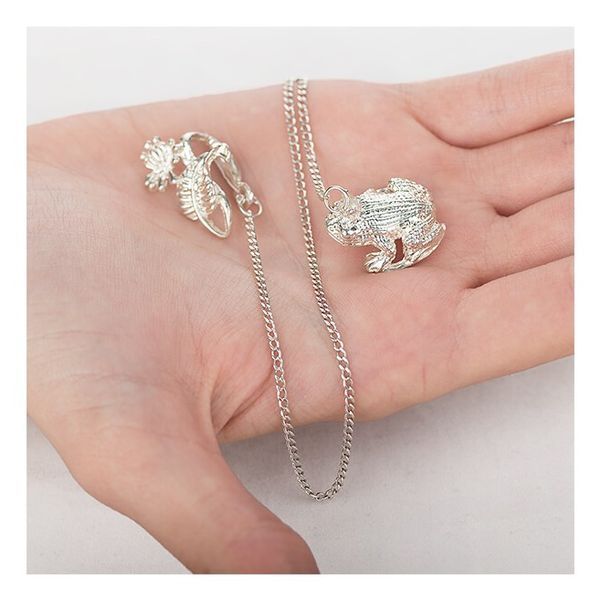 Серебряный ионизатор Жабка 025970 025970 фото
