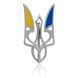 Серебряный значок Герб Украины с эмалью 660079С 660079С фото 1