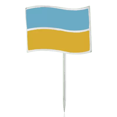 Серебряный значок Герб 