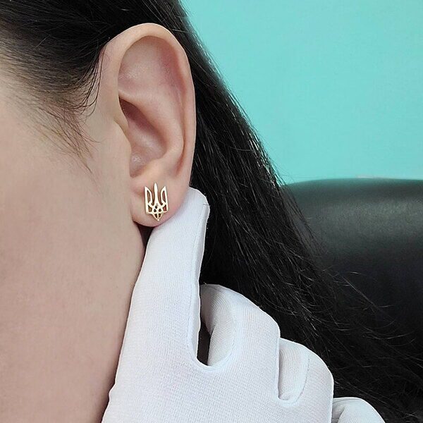 сережки герби сережки герби