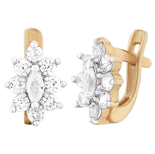 Серебряные серьги С3Ф/011 детальное изображение ювелирного изделия Серьги с позолотой Серебряные серьги С3Ф/011 детальное изображение ювелирного изделия Серьги с позолотой