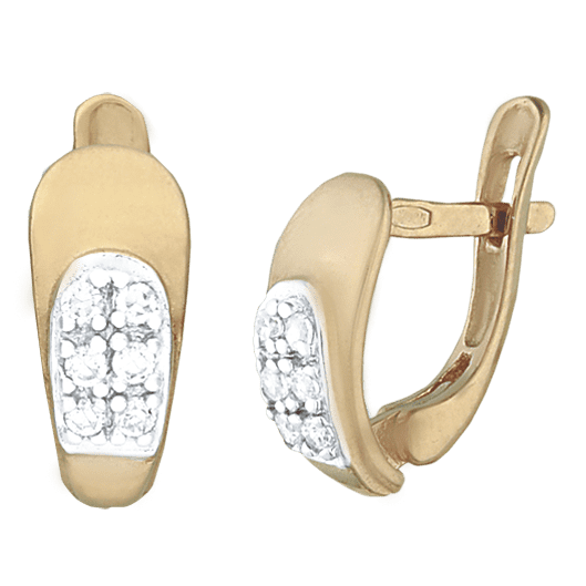 Серебряные серьги С3Ф/065 детальное изображение ювелирного изделия Серьги с позолотой Серебряные серьги С3Ф/065 детальное изображение ювелирного изделия Серьги с позолотой