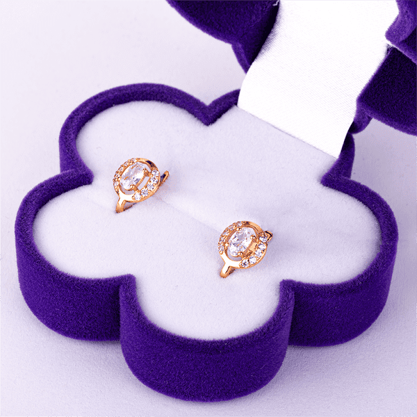 IMG_5433 (1) IMG_5433 (1)