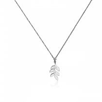 обзорное фото Серебряное колье Листик 026027  Серебряные колье