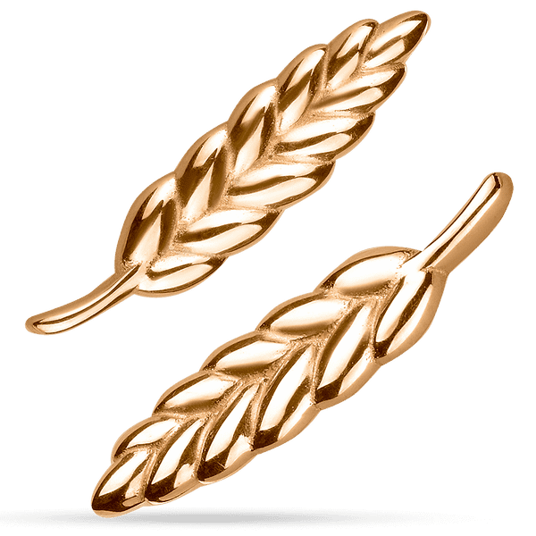 сережки колоски сережки колоски