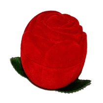 оглядове фото Футляр "Троянда" 024246