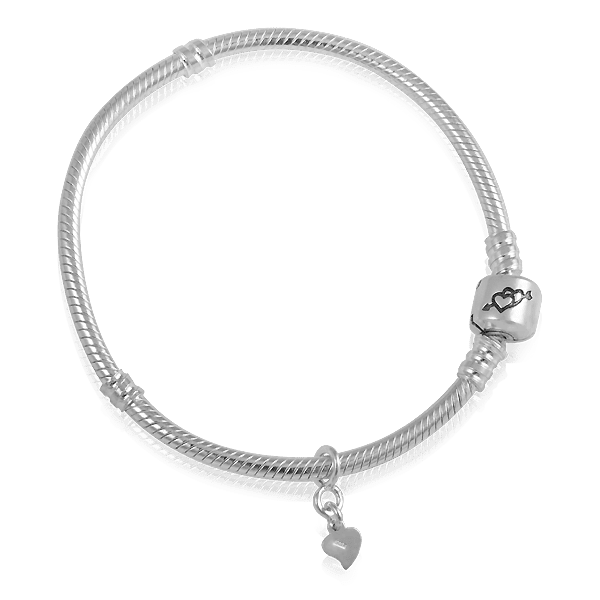 Серебряный браслет для шармов 025186 детальное изображение ювелирного изделия Серебряные браслеты для шармов Серебряный браслет для шармов 025186 детальное изображение ювелирного изделия Серебряные браслеты для шармов