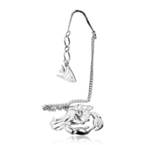 обзорное фото Ионизатор воды серебряный с цепочкой Краб и Рыбка 035406  Серебряные ионизаторы