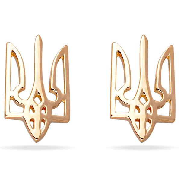 2009535101 1 2009535101 1