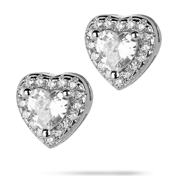 IMG_7978 1 IMG_7978 1