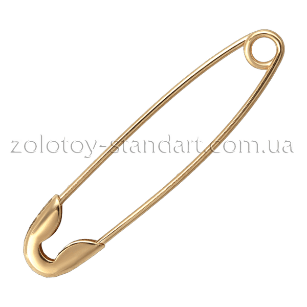 Золотая булавка 300206 детальное изображение ювелирного изделия Золотые булавки Золотая булавка 300206 детальное изображение ювелирного изделия Золотые булавки