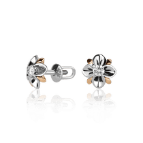 обзорное фото Серьги из белого золота с бриллиантами 023119  Золотые серьги с бриллиантами