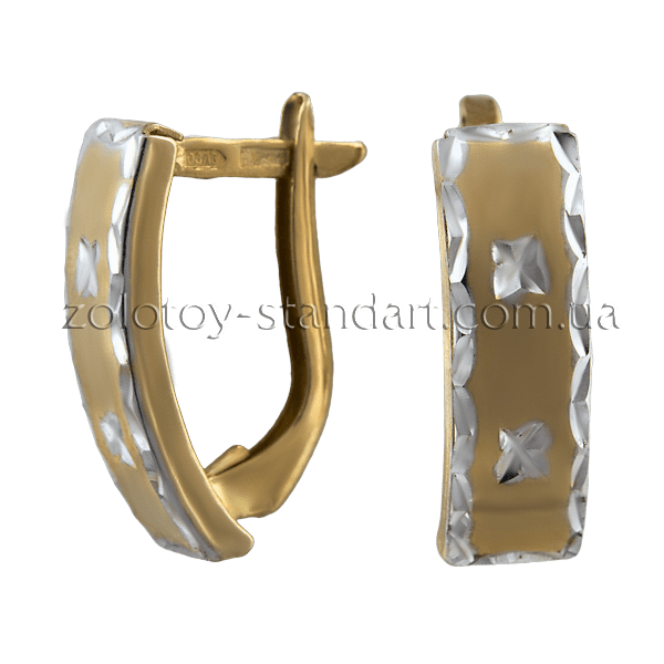 Золотые серьги 80196 детальное изображение ювелирного изделия Золотые серьги с английским замком Золотые серьги 80196 детальное изображение ювелирного изделия Золотые серьги с английским замком