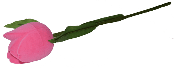 Футляр Тюльпан на стебле, розовый, универсальная прорезь 027580 детальное изображение ювелирного изделия Подарочные футляры и упаковки Футляр Тюльпан на стебле, розовый, универсальная прорезь 027580 детальное изображение ювелирного изделия Подарочные футляры и упаковки