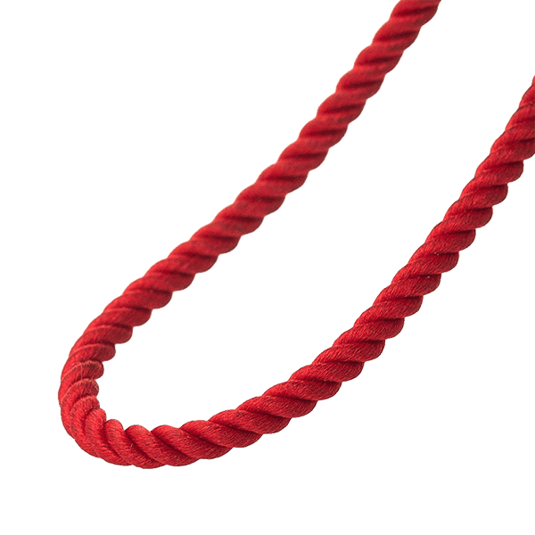 Шнурок. Фото Шнурок. Фото