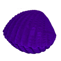 оглядове фото Футляр "Мушля" 024248