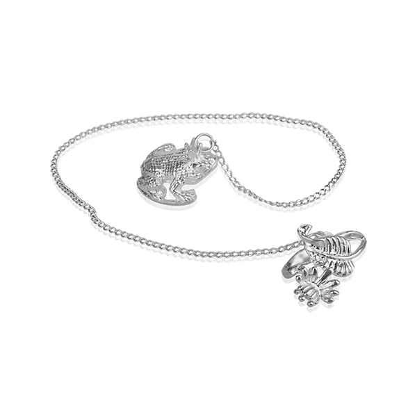 Серебряный ионизатор Жабка 025970 детальное изображение ювелирного изделия Серебряные ионизаторы Серебряный ионизатор Жабка 025970 детальное изображение ювелирного изделия Серебряные ионизаторы