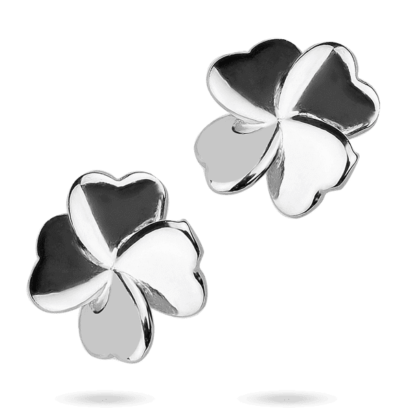 IMG_7973 1 IMG_7973 1