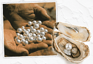 Перли – властивості, види, відмінності натуральної перлини від підробки